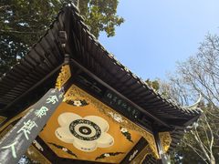 -梅园