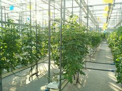 -中国农科院国家农业科技展示园