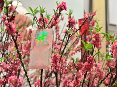 -广州文华东方酒店·悦铂尼西餐厅