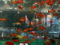 -阳光院坝小龙虾(红牌楼店)