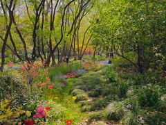 -上海共青森林公园