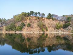 -王借岗森林公园