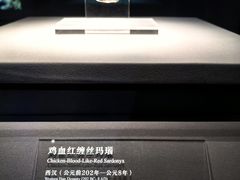 -北京大葆台遗址博物馆