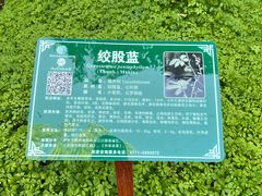 -广西壮族自治区药用植物园