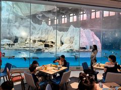 -帝企鹅自助餐厅•儿童岛•真企鹅(长隆企鹅酒店)