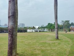-紫马岭公园