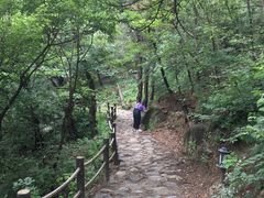 -阳台山自然风景区