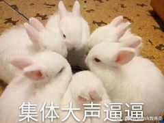 -哈尔滨北方森林动物园