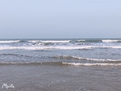 -日照海滨国家森林公园