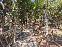 -梧桐山风景名胜区