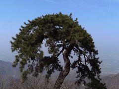 -终南山南五台景区