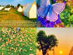 -汉长安城未央宫国家考古遗址公园