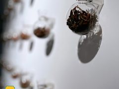 -张一元茶庄(望京店)