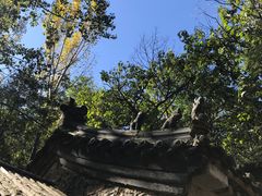 -井塘古村