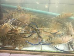 红姐海鲜-J Daeng Seafood