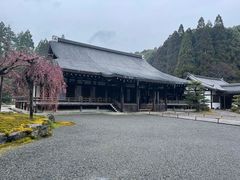 -西芳寺(苔寺)