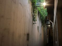 -普朗姆生蚝吧(原建国路店)