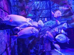 -波塞冬旅游度假区