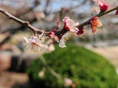 -昆山城市公园