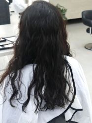 -蚂蚁造型俱乐部