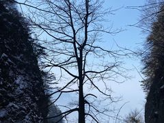 -太平万花山景区