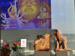 -敦煌莫高国际机场