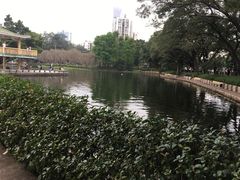 -晓港公园