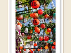 -国家植物园