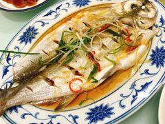 清蒸白丝鱼-状元楼(金溪路店)