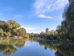 -北京大学