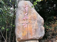 -大屏嶂森林公园