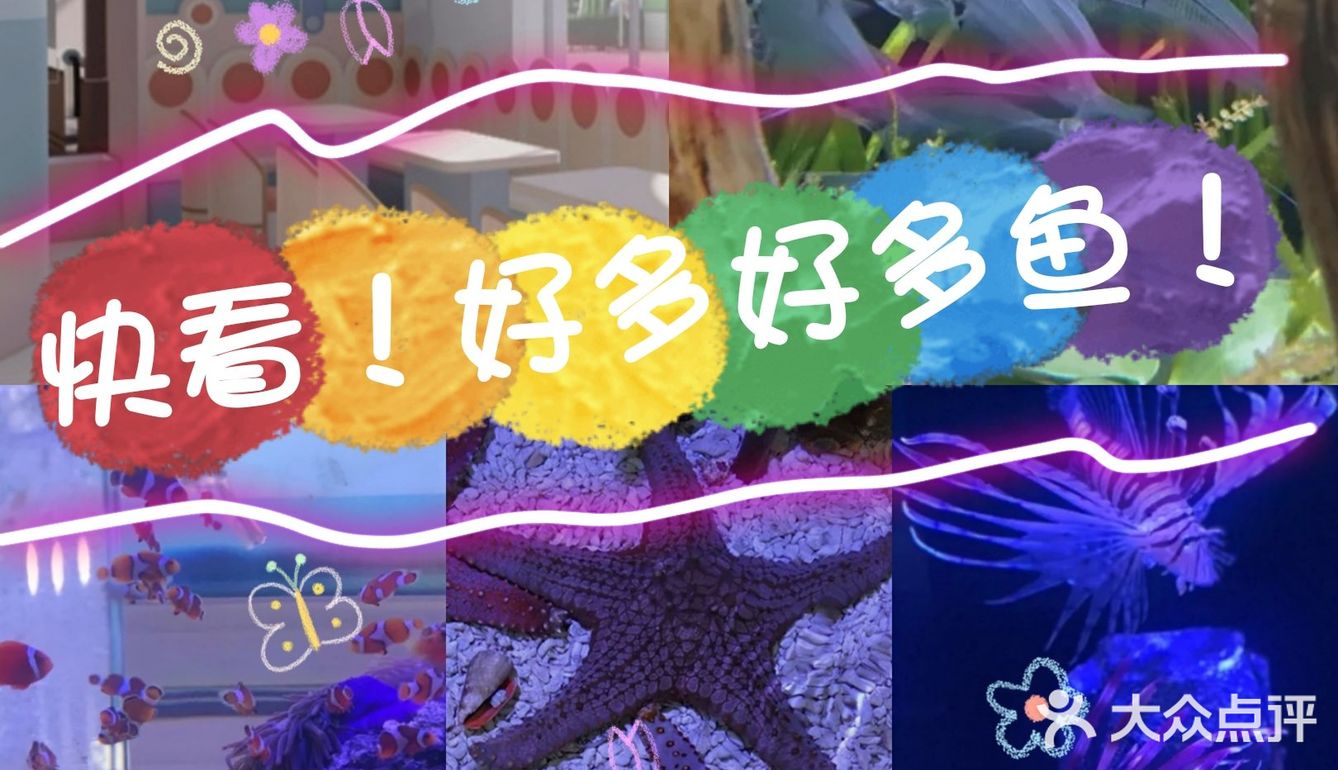 快来海底世界看小鱼呀～[加油]
