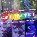 快来海底世界看小鱼呀～[加油]