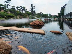 -罗红摄影艺术馆