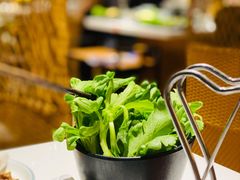 茼蒿-东椰·海南椰子鸡火锅(朝阳门店)