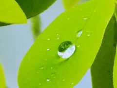 -天津东丽湖风景区