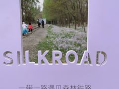 -将府公园