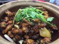 田螺焖鸡-广宁炭炉鸡煲·富临门饭店