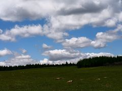 -空中草原