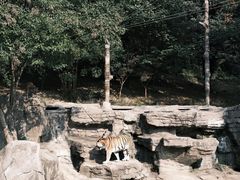-宁波野生动物园