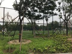 -回龙观体育文化公园