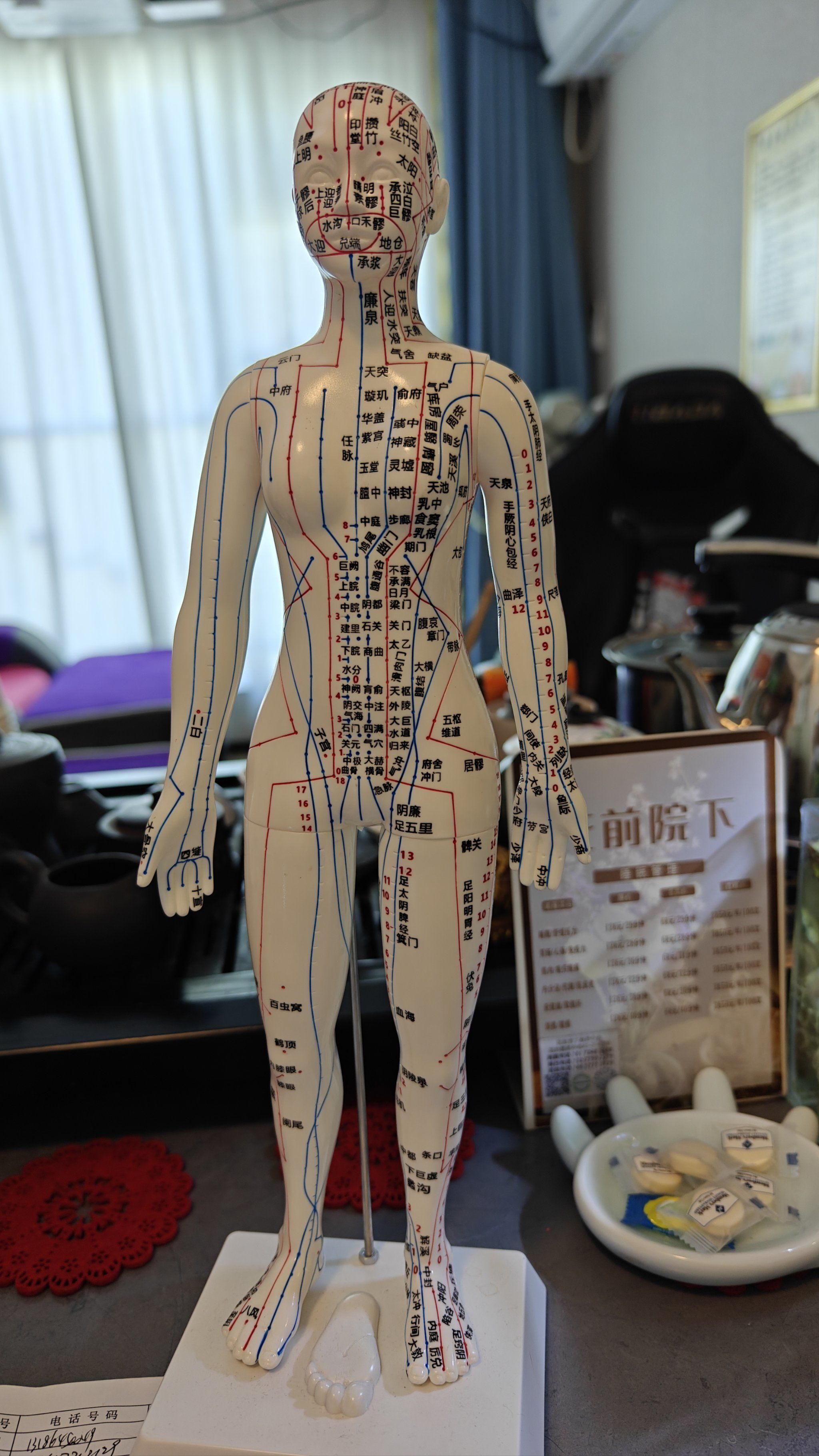 汲取中医的健康力