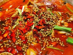 -宽口美蛙鱼头(大唐西市店)