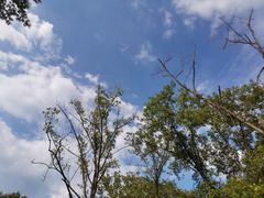 -对天河漂流
