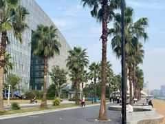 -金沙湖公园