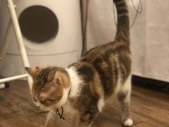 -倦勤咖啡(中山南路店)