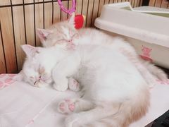 -谷咖啡·鲜花绿植花园餐厅