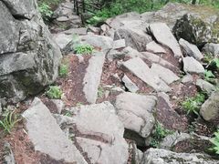 -王顺山国家森林公园