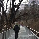 甘孜旅行 | 海螺沟是绝对亮点！
