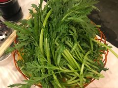 -鲜入围煮花胶鸡海鲜火锅